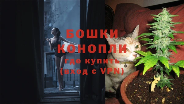 винт Арсеньев